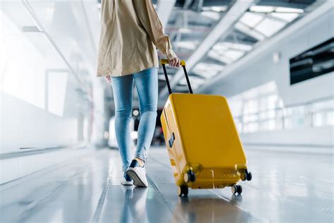 luggage dupes for less